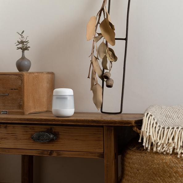 日野ディーゼルクリーナー600mL 10本入新品2025年12月納品ラスト1箱