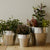 one pots（ワンポッツ）/受け皿のいらない植木鉢